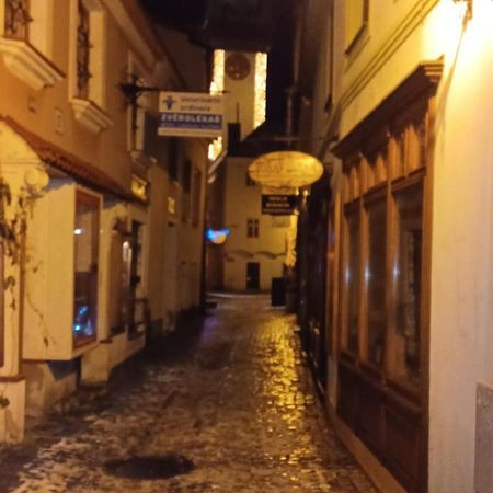 Apartman Pod Hradem Znojmo Exterior foto